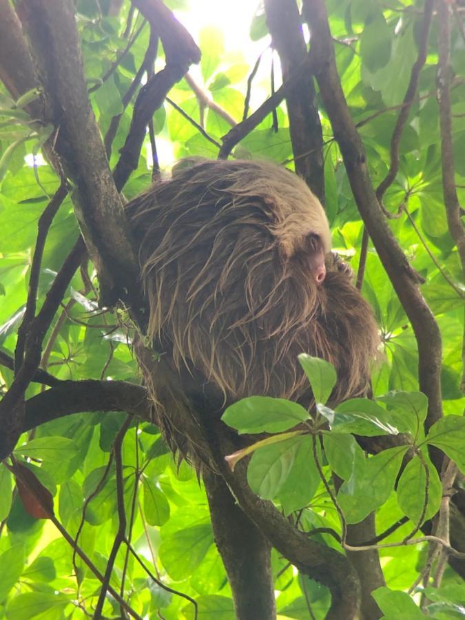 Green Leaf House La Fortuna Εξωτερικό φωτογραφία