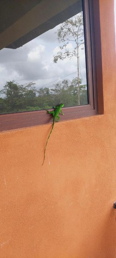 Green Leaf House La Fortuna Εξωτερικό φωτογραφία